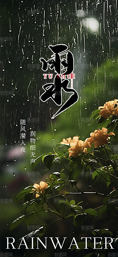 大气传统二十四节气雨水海报