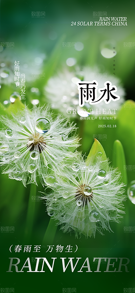 大气传统二十四节气雨水海报