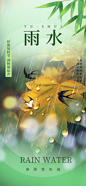 大气传统二十四节气雨水海报