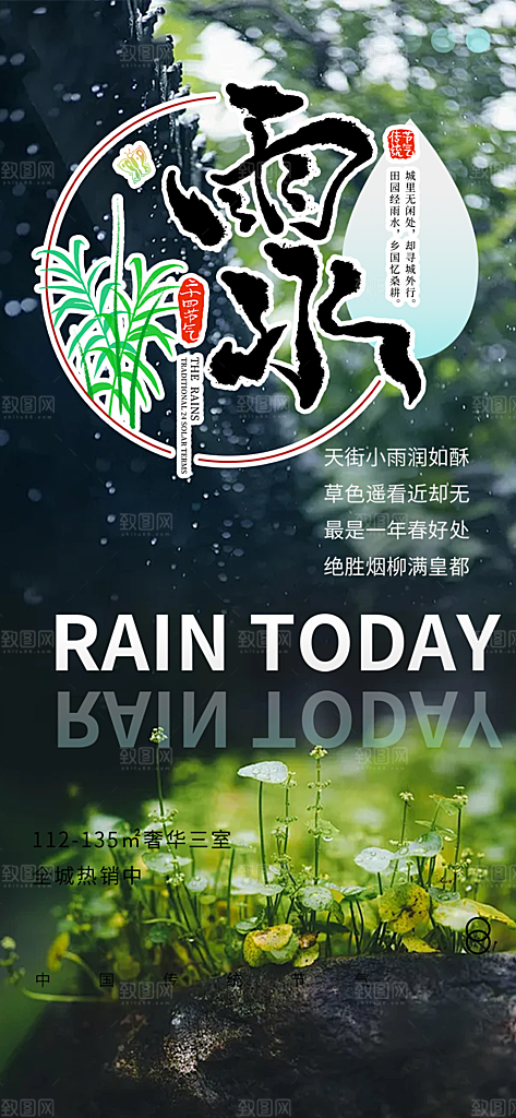 大气传统二十四节气雨水海报
