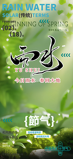 大气传统二十四节气雨水海报