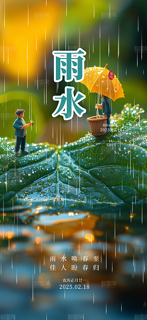 大气传统二十四节气雨水海报