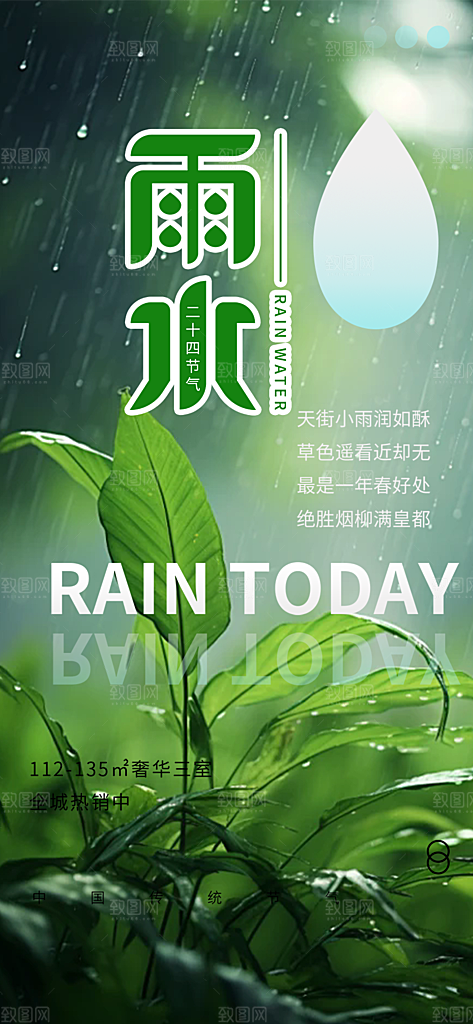大气传统二十四节气雨水海报