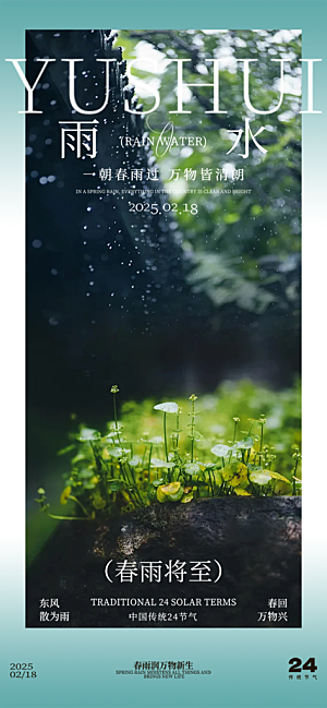 二十四节气雨水海报
