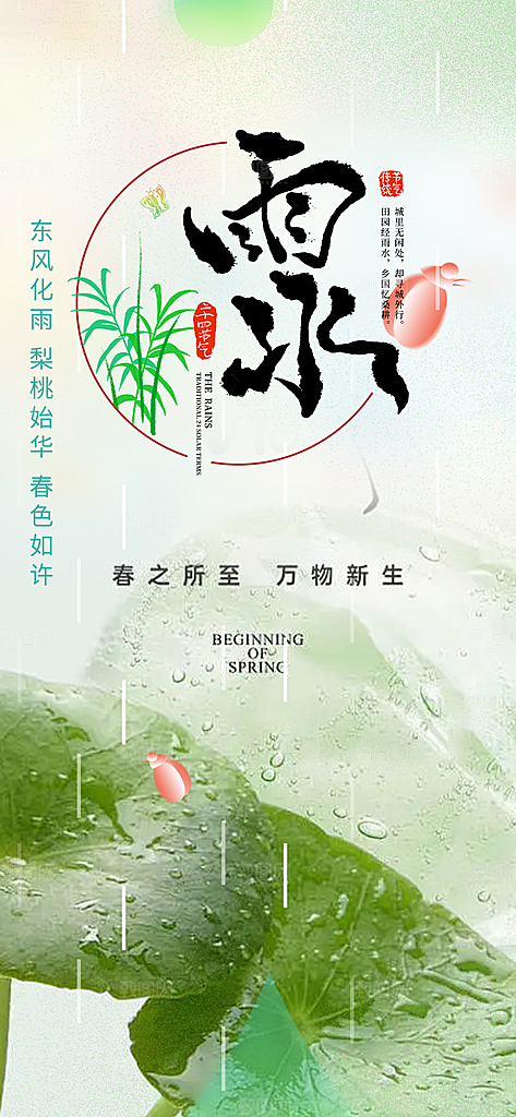 大气传统二十四节气雨水海报