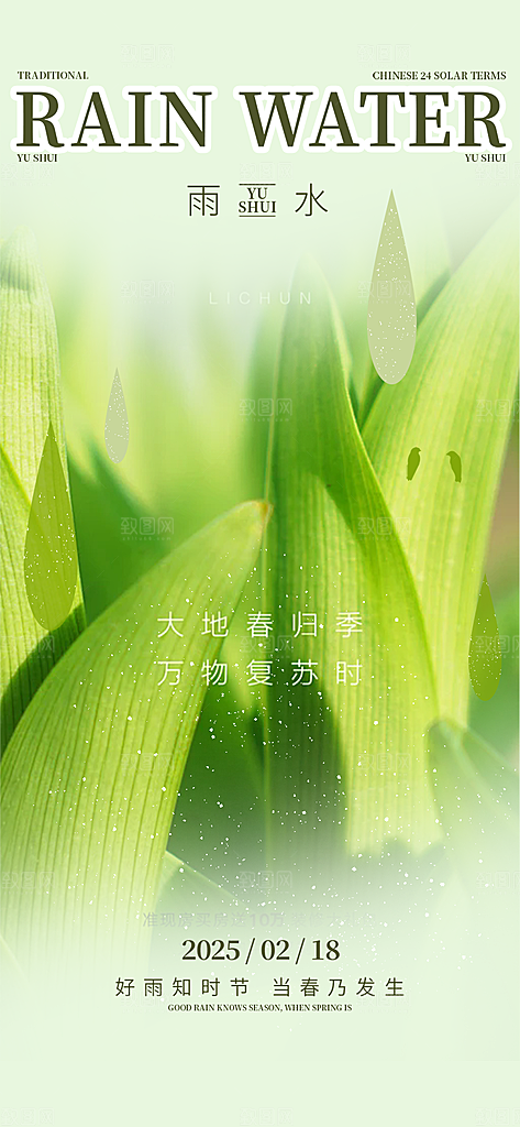 大气传统二十四节气雨水海报