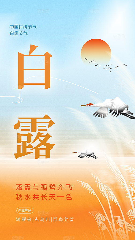 白露节气传统海报
