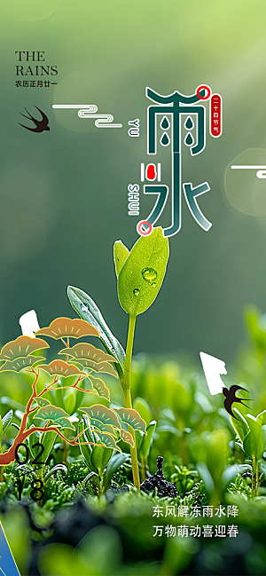 大气传统二十四节气雨水海报