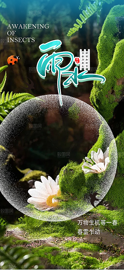 大气传统二十四节气雨水海报