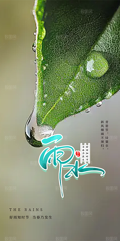 大气传统二十四节气雨水海报