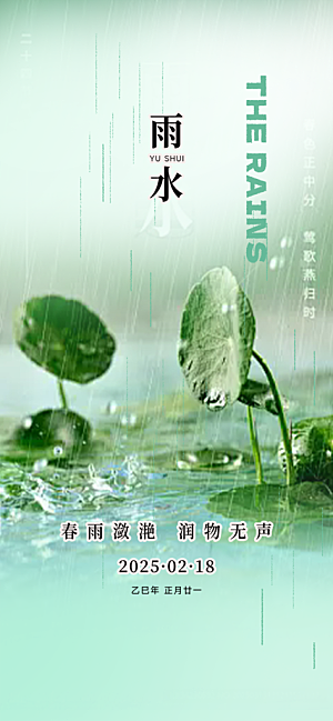 大气传统二十四节气雨水海报
