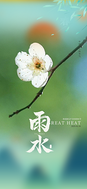 二十四节气雨水海报