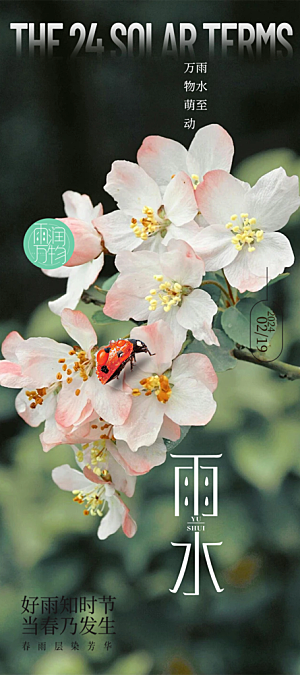 传统雨水二十四节气海报