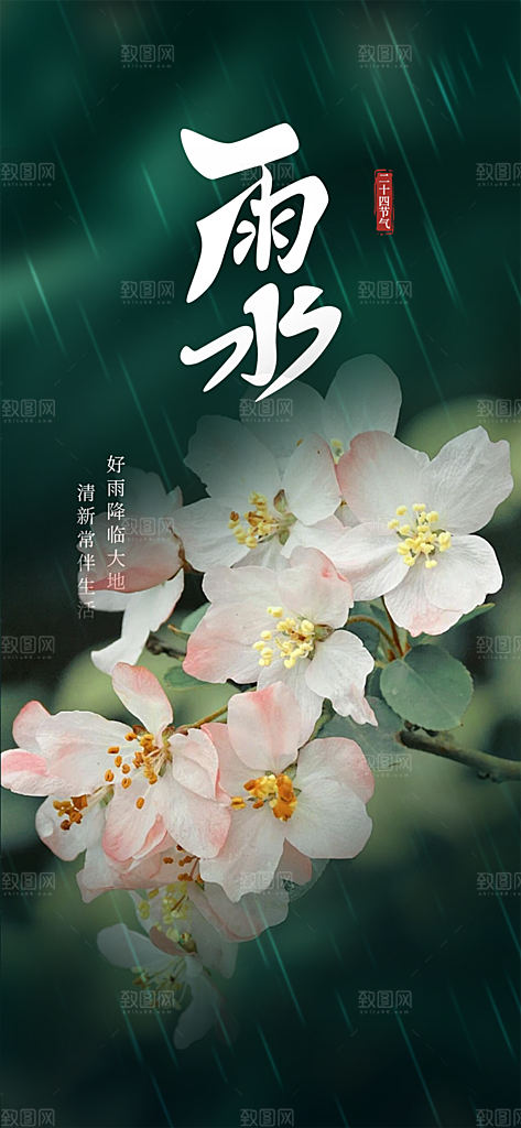 清新雨水二十四节气海报