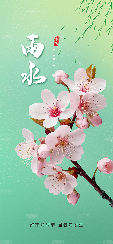 清新雨水二十四节气海报
