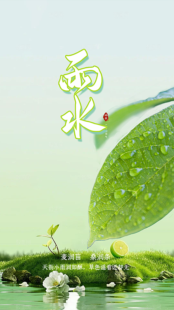 清新雨水二十四节气海报