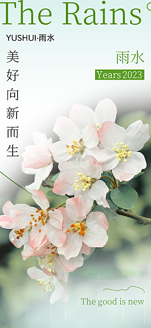 清新雨水二十四节气海报