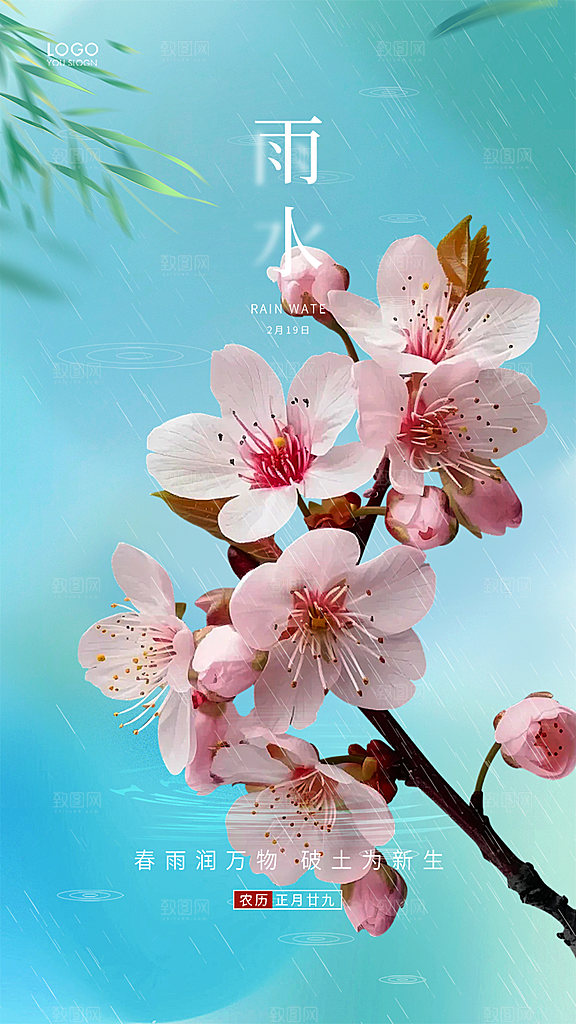 清新雨水二十四节气海报