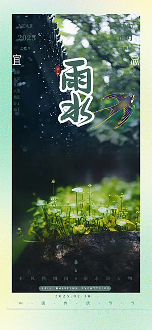 清新雨水二十四节气海报
