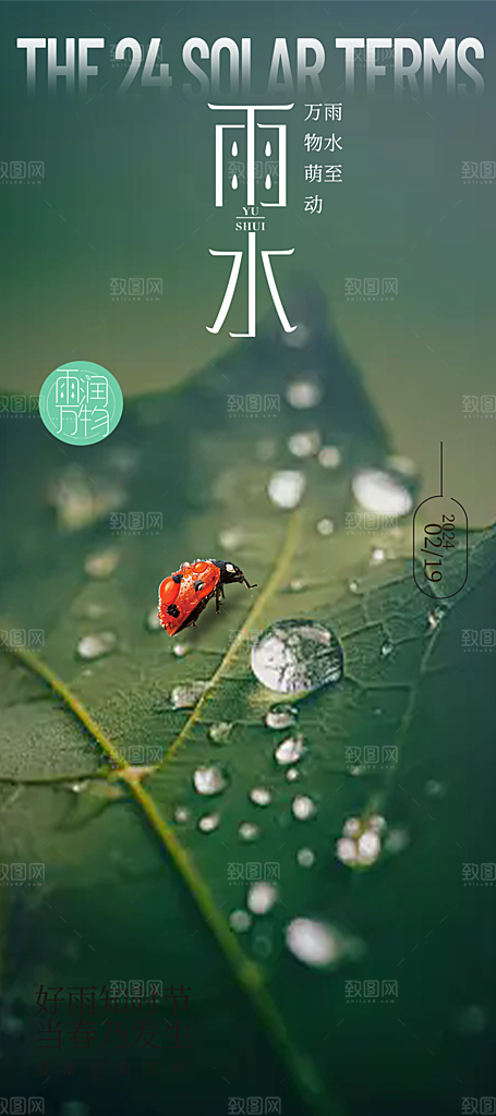 清新雨水二十四节气海报