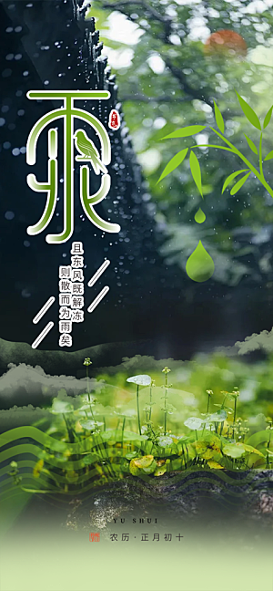 大气传统雨水二十四节气海报