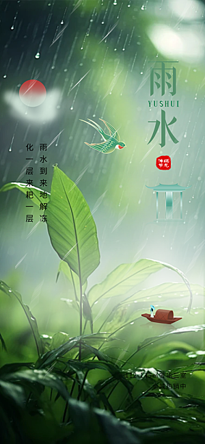 大气传统雨水二十四节气海报