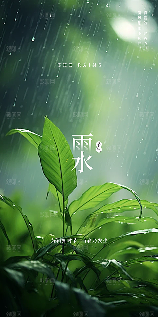 大气传统二十四节气雨水海报