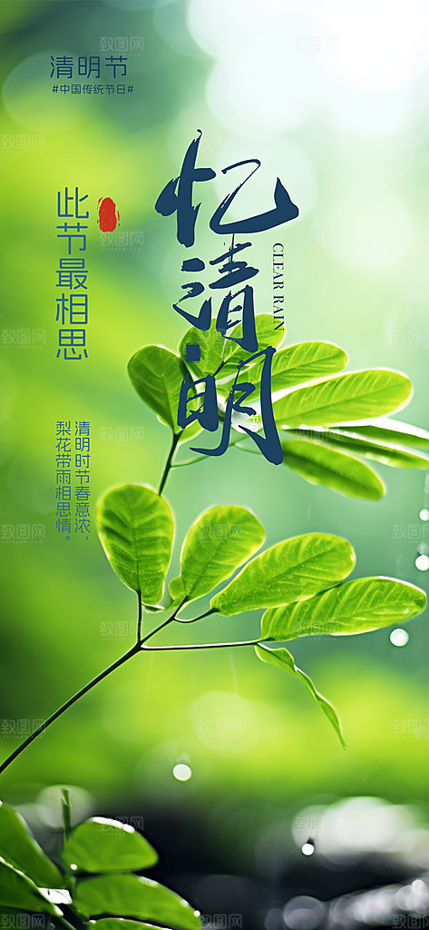 清新节日清明节宣传海报