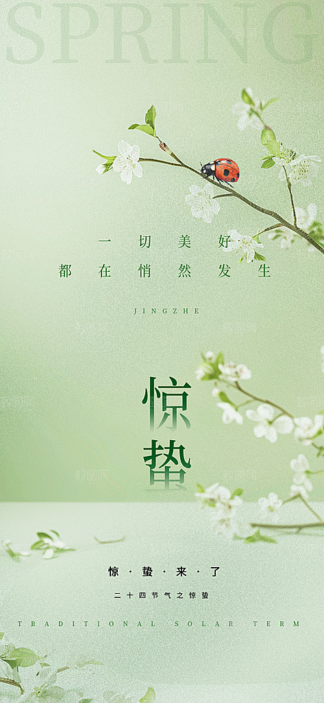 二十四节气惊蛰三月春天春季宣传海报