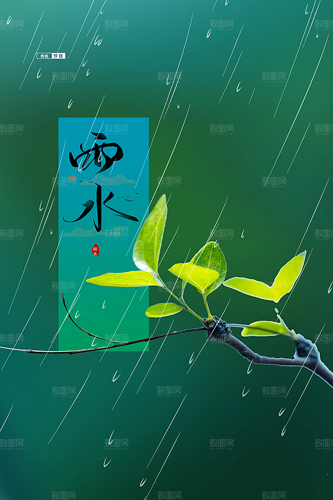 雨水节气传统海报