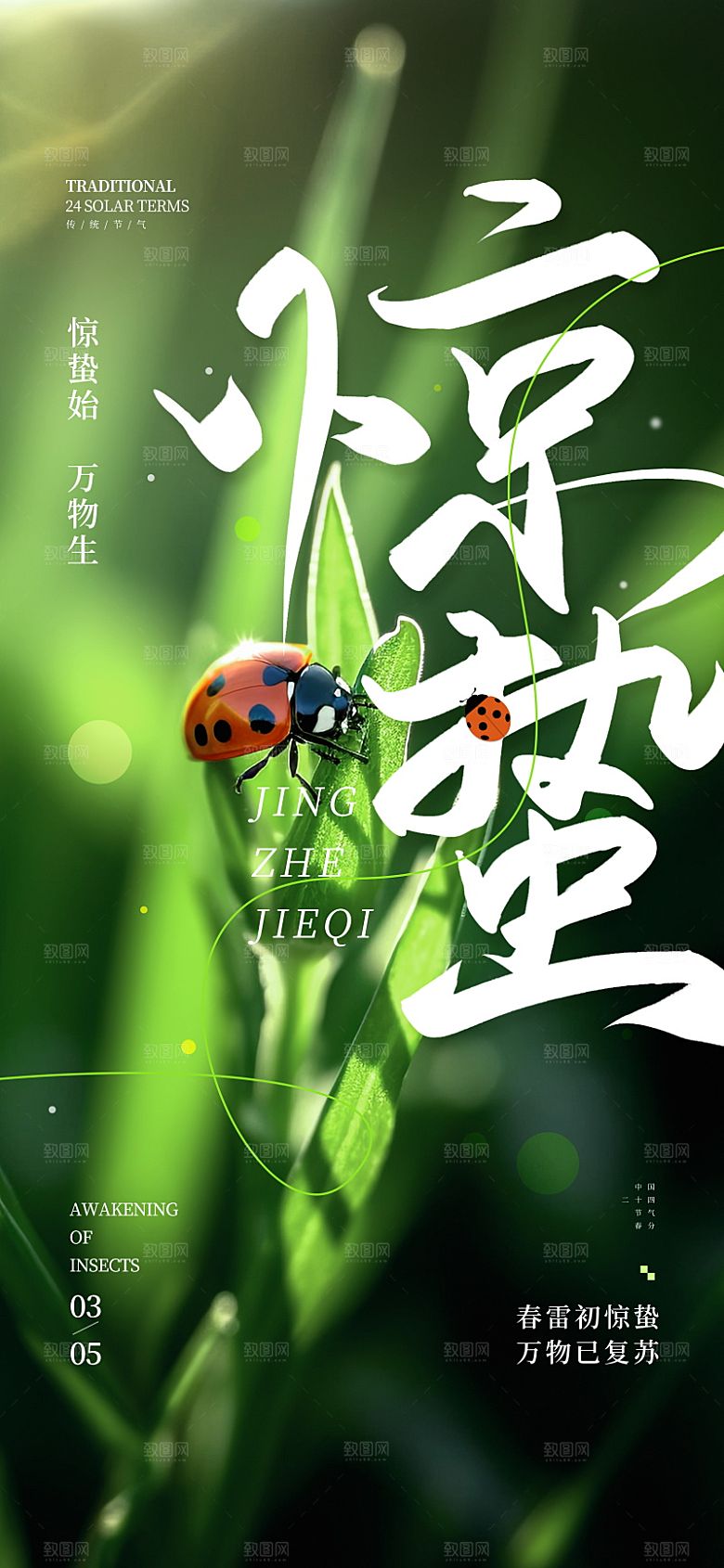 传统节气惊蛰宣传海报模版