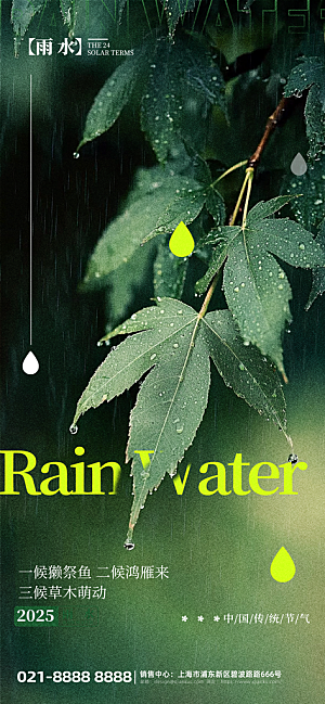 24节气雨水传统简约海报
