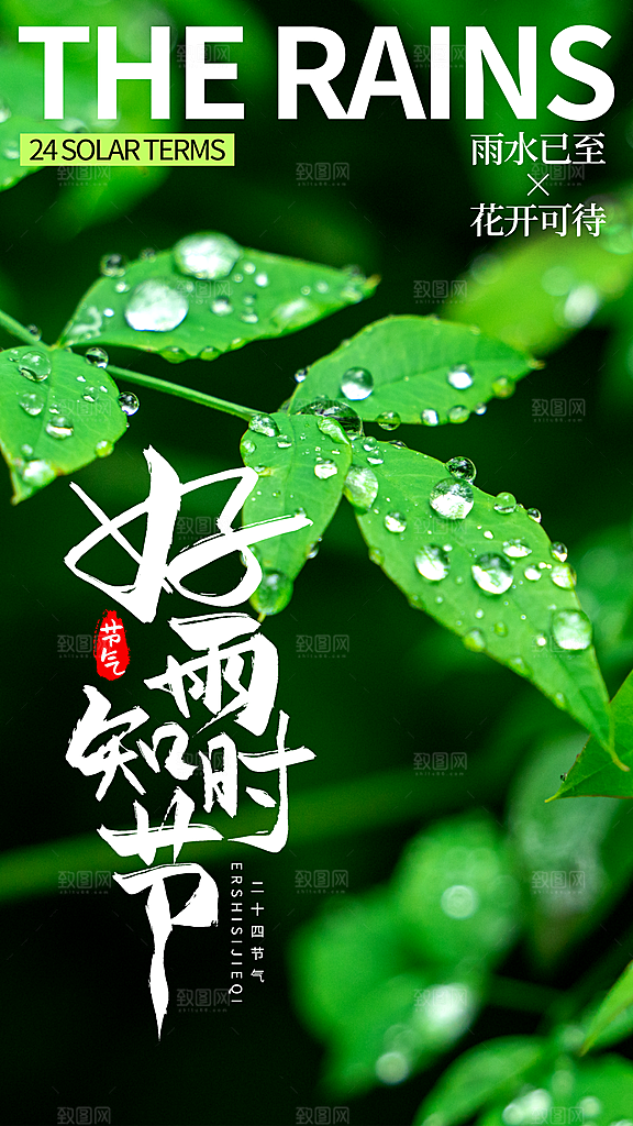 中国传统节气雨水简约海报