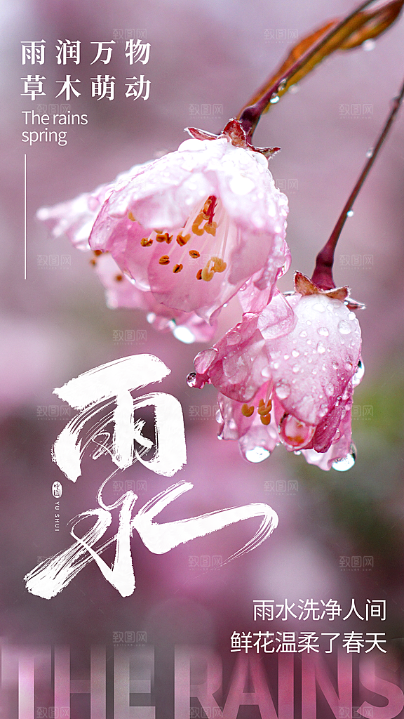 中国传统节气雨水简约海报