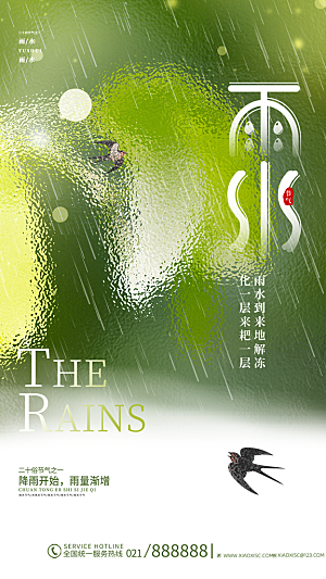 中国传统节气雨水简约海报
