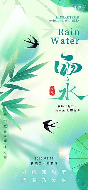 中国传统节气雨水简约海报