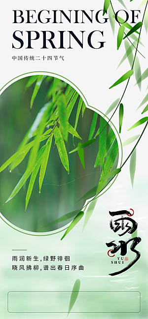 中国传统节气雨水简约海报