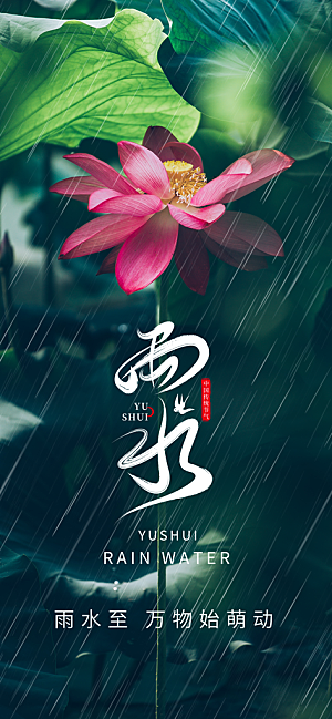 中国传统节气雨水简约海报