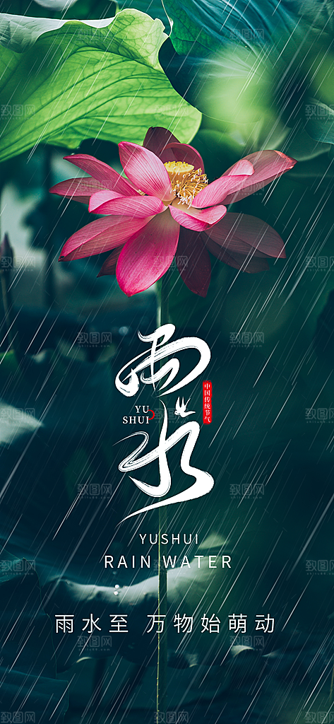 中国传统节气雨水简约海报