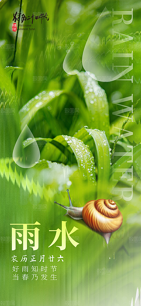 中国传统节气雨水简约海报