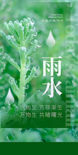 中国传统节气雨水简约海报