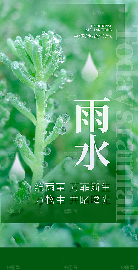 中国传统节气雨水简约海报