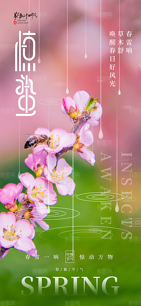 传统节气惊蛰宣传海报模版