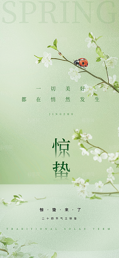 惊蛰节气简约大气宣传海报