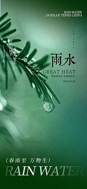 二十四节气雨水海报