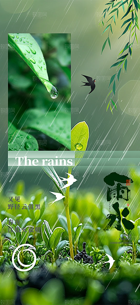 二十四节气雨水海报