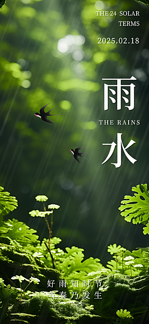 传统二十四节气雨水海报