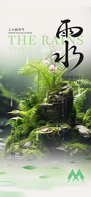 大气传统二十四节气雨水海报