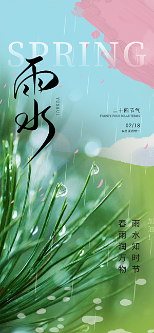 大气传统二十四节气雨水海报