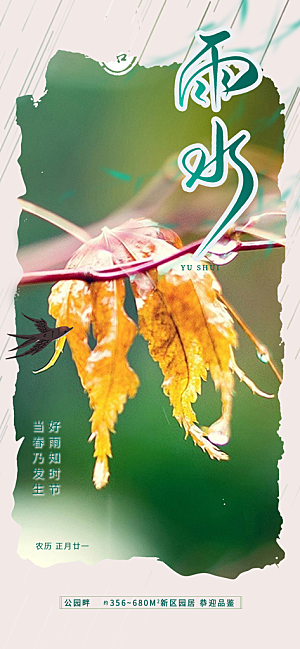 大气传统二十四节气雨水海报